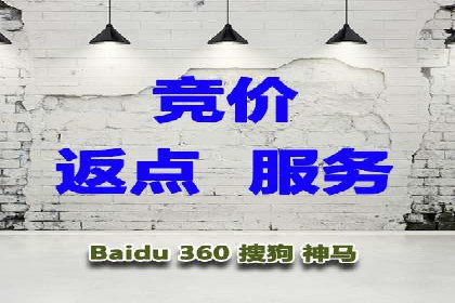 搜索引擎竞价推广实战：行业领先企业的成功秘诀